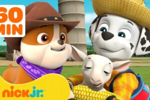 PAW Patrol Pups Save the Farm & More Rescues! 🐮 w/ Marshall and Rubble | 1 Hour | Nick Jr.