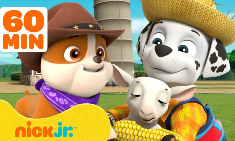 PAW Patrol Pups Save the Farm & More Rescues! 🐮 w/ Marshall and Rubble | 1 Hour | Nick Jr.