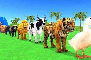 Paint Animals Duck,Tiger,Cow,Lion,Buffalo,Gorilla,Elephant,Dinosaur Fountain Crossing Animal Game Ne