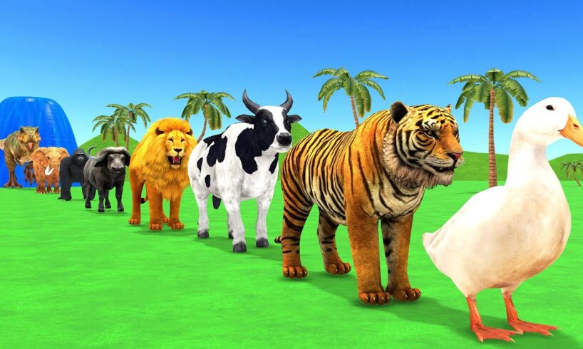 Paint Animals Duck,Tiger,Cow,Lion,Buffalo,Gorilla,Elephant,Dinosaur Fountain Crossing Animal Game Ne