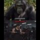 Peak Human Vs Chimpanzee | #1v1 #youtubeshorts #shorts