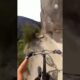 People Are Awesome - Epic Dirt Biking shorts