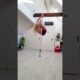 People Are Awesome - Girl Wows with Incredible Tricks! 💃💫