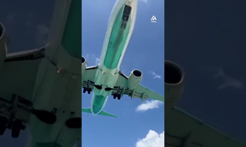 People Are Awesome - When you can practically high-five a plane