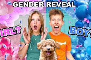 Puppy Gender Reveal! So CUTE!