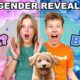 Puppy Gender Reveal! So CUTE!