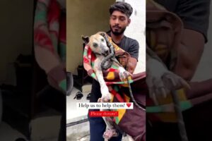 Rescue Dog Ki Kahani 😢💕 | Dog Rescue | Animal Rescue #shorts #DogRescue #Inspiring