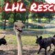 Rescue Donkey and Other Farm Animal Rescues