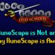 📕 RuneScape is Awesome, And Here's Why