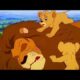 SIMBA, EL REY LEÓN | Episodio 1 Completo | Doblado en Español  | SIMBA THE LION KING