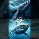 Sea Animals Fights Part 1