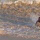 Swimmer caught in the undertow current at 2011 at Cabo San Lucas