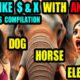 THEY LIKE $ £ X  WITH ANIMALS 4 STORIES COMPILATION - UNTOLD STORIES!!!