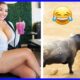 TRY NOT TO LAUGH 😆  Instant Regret Fails Compilation 2024 / Fails of the week