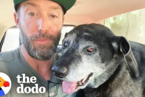 The Happiest Dog Rescue Stories | The Dodo