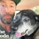 The Happiest Dog Rescue Stories | The Dodo