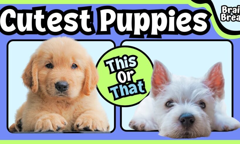 This or That?!? Cutest Puppies Brain Break | Kids Workout | Just Dance | Kids Yoga | Funny Dogs