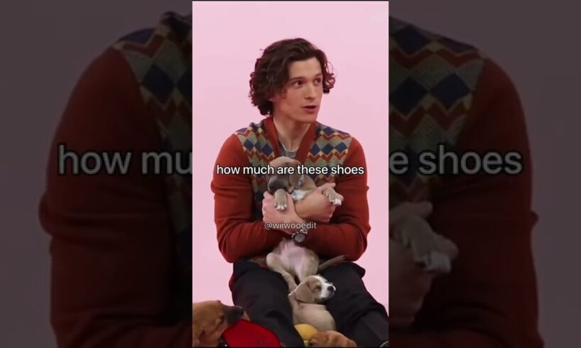 Tom Holland talking to puppies for 20 seconds | #tomholland #tomhollandgq #gq #puppies #interview