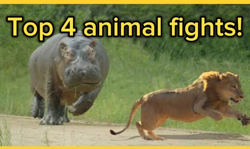 Top 4 animal fights of all time!!