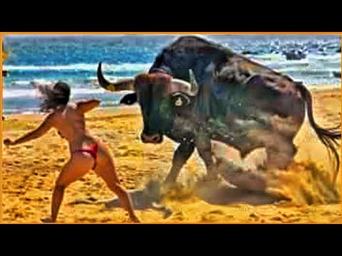 Ultimate Animal Battles:  Nature's Greatest Fights!