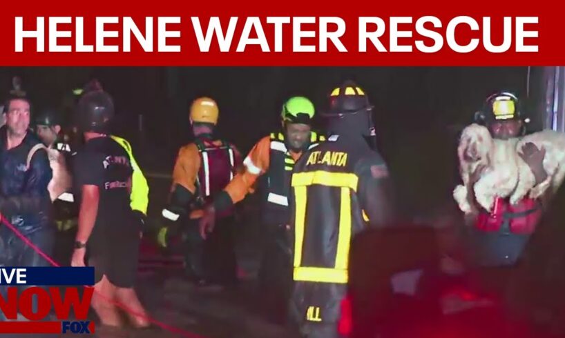 WATCH: Hurricane  Helene water rescue, baby and dogs saved