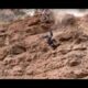 most brutal crashes - Red Bull rampage edition