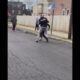 street fight compilation 10 #fights #worldstar #knockout