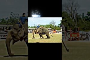 the strongest animal on land #trending #elephant #animals #strong #whatsappstatus #youtubeshorts