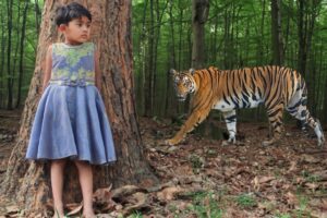 tiger attack man in the forest | tiger attack in jungle, royal bengal tiger attack