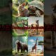 ありえない動物の融合新しい生物が誕生する瞬間を見逃すな！Unbelievable Animal Fusions: Witness the Birth of New Creatures! #shorts