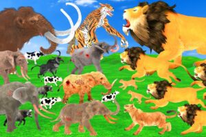 10 Zombie Elephant vs 10 Giant Lion Attack Cow Buffalo Dog Pig Saved By Woolly Mammoth vs Tiger Wolf