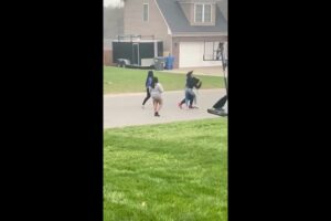 Another Hood Girl Fight