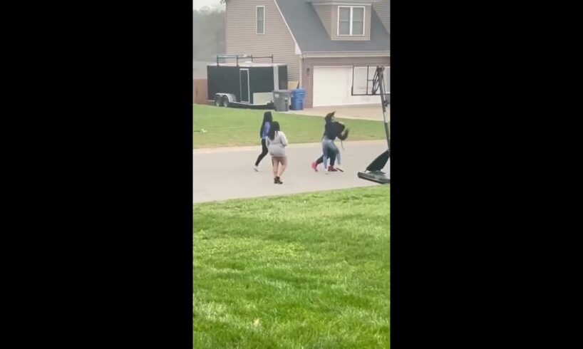 Another Hood Girl Fight