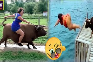 Funniest Fails of The Week - Try Not To Laugh Funny Videos