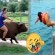 Funniest Fails of The Week - Try Not To Laugh Funny Videos