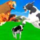 3 Zombie Cows Vs 3 Zombie Buffalos Fight Tiger Chase Cow Cartoon Saved by Woolly Mammoth Elephant