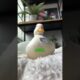 A duck that is happy when it sees money  #animals #animallover #petswildatheart #cute