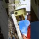 A men helped the squirrel & give him to new house || #shorts #ytshorts #youtubeshorts #squirrels