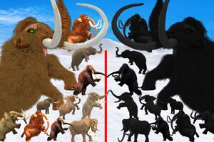 ARBS Prehistoric Mammals vs ARK Shadow Itself Mammals Size Mammoth Vs Mammoth Animal Epic Battle