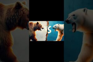 Animal's fights #shorts #viral #anaconda #gorilla #bear #lion #cheetah #hippo #rhino #polarbear