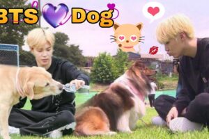 BTS PLAY WITH dogs 🐶