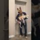 Best funny videos prank by Tanya, Senya and Misha - funny dogs #shorts