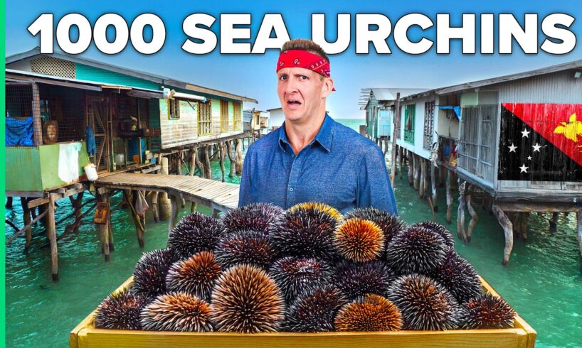 Cooking 1000 Sea Urchins!! Papua’s Ocean Tribe!!