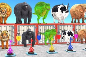 Cow Elephant Tiger Gorilla Hippo 3d Animal Long Slide Game Funny 3d Paint Animals Cage Game