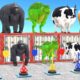 Cow Elephant Tiger Gorilla Hippo 3d Animal Long Slide Game Funny 3d Paint Animals Cage Game