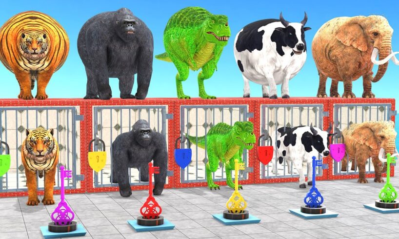 Cow Elephant Tiger Gorilla Hippo 3d Animal Long Slide Game Funny 3d Paint Animals Cage Game