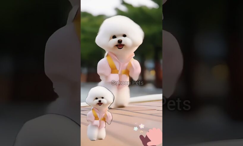 Cute puppy 🥰🐶beautiful dance #funny #cute #puppies #dancer #shots