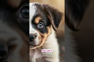 Cutest puppies ever 🐶❤️🐾 | #doglovers #puppyvideos #babylovely #lovestatustamil