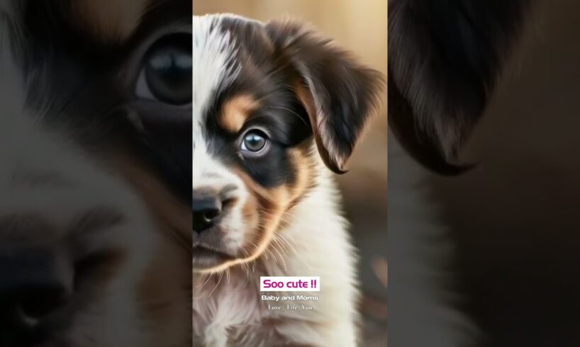 Cutest puppies ever 🐶❤️🐾 | #doglovers #puppyvideos #babylovely #lovestatustamil