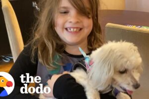 Dad Finds His Daughter The Perfect Rescue Dog | The Dodo